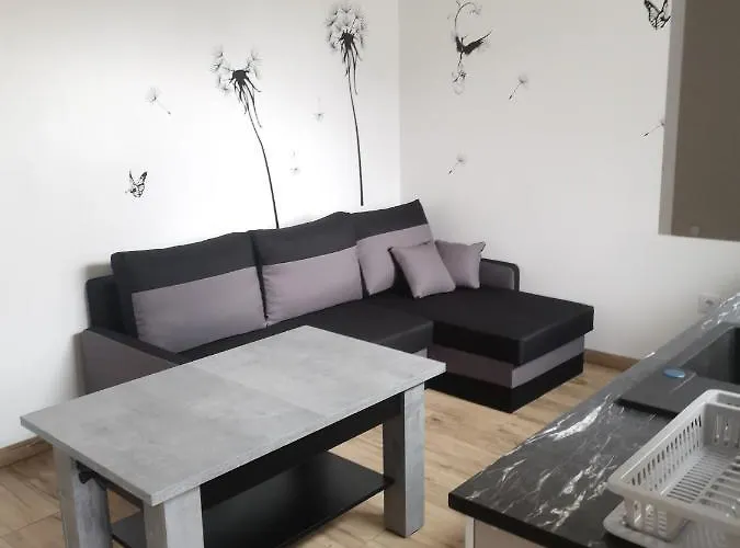 Cicha Alloggio in famiglia